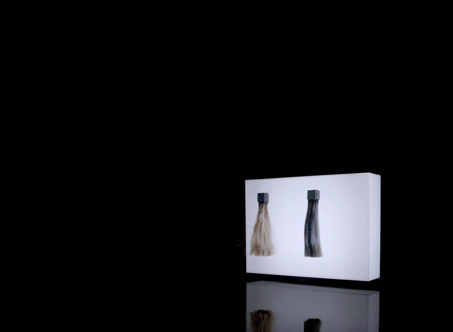 Hair Science Banner